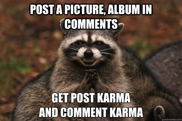 Post a picture, album in comments Get post karma 
AND comment karma - Post a picture, album in comments Get post karma 
AND comment karma  Evil Plotting Raccoon