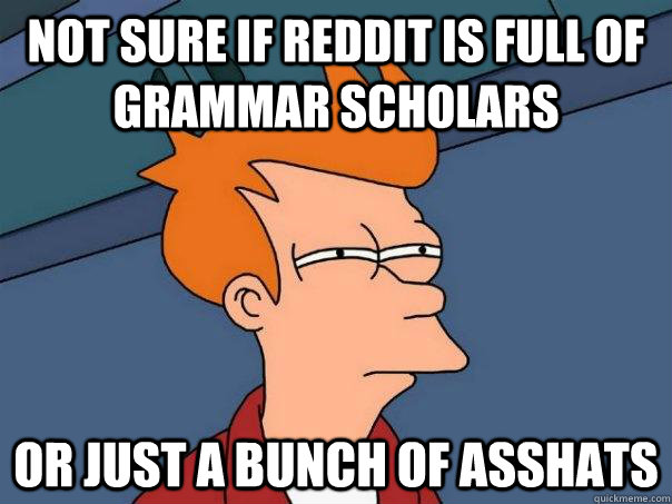 Not Sure if Reddit is Full of Grammar Scholars or just a bunch of asshats  Futurama Fry