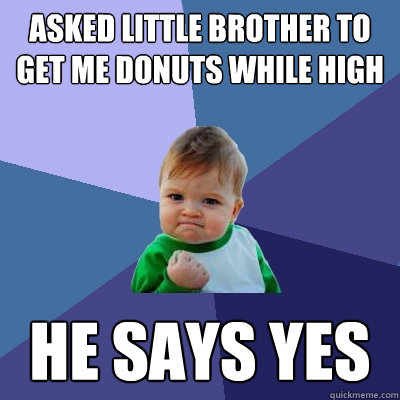 ASked little brother to get me donuts while high HE says yes  Success Kid