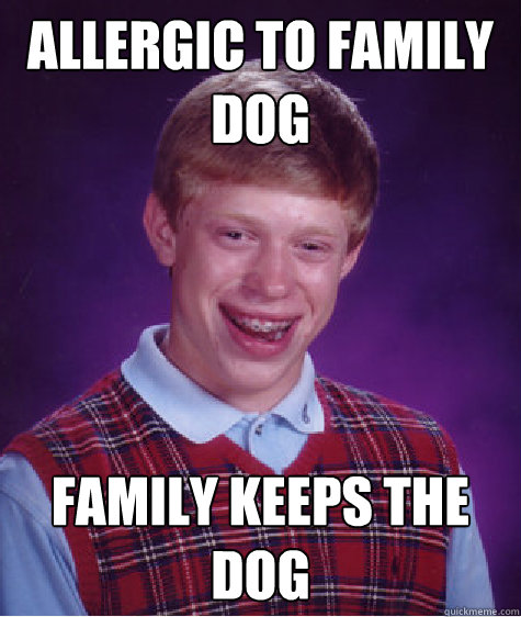 allergic to family dog Family keeps the dog  Bad Luck Brian