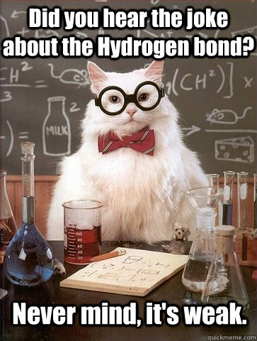 Did you hear the joke about the Hydrogen bond? Never mind, it's weak.  Chemistry Cat