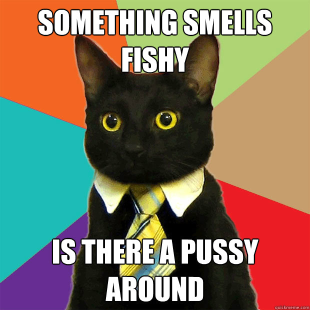 Something smells fishy Is there a pussy around  Business Cat