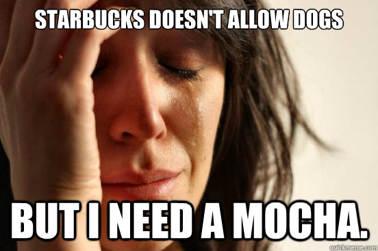 starbucks doesn't allow dogs but i need a mocha. - starbucks doesn't allow dogs but i need a mocha.  First World Problems