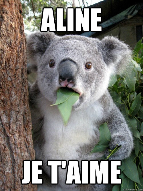 Aline Je t'aime  Surprised Koala