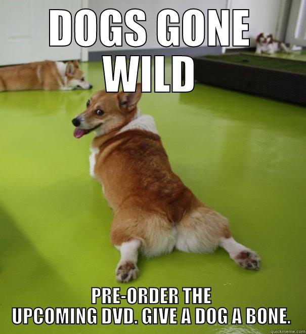 dogs gone wild - DOGS GONE WILD PRE-ORDER THE UPCOMING DVD. GIVE A DOG A BONE. Misc