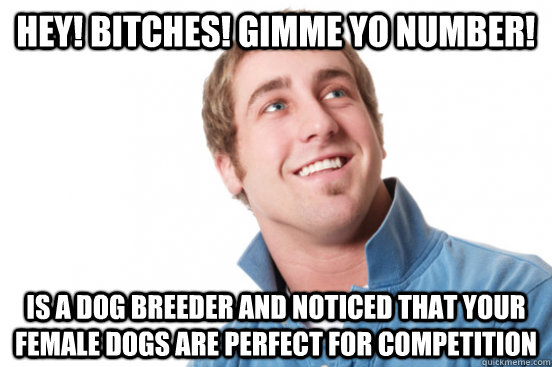 Hey! Bitches! Gimme yo number! is a dog breeder and noticed that your female dogs are perfect for competition  Misunderstood Douchebag