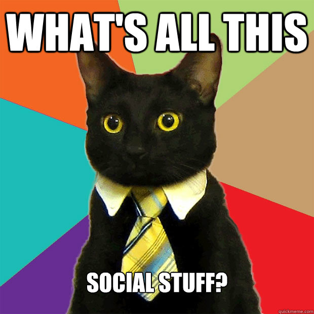 what's all this  social stuff?  Business Cat