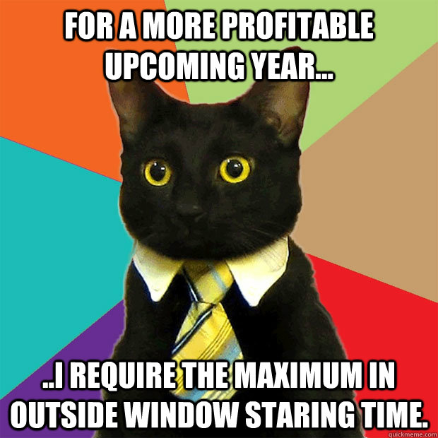 For a more profitable upcoming year... ..I require the maximum in outside window staring time.  Business Cat