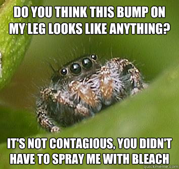 do you think this bump on my leg looks like anything? it's not contagious, you didn't have to spray me with bleach  Misunderstood Spider