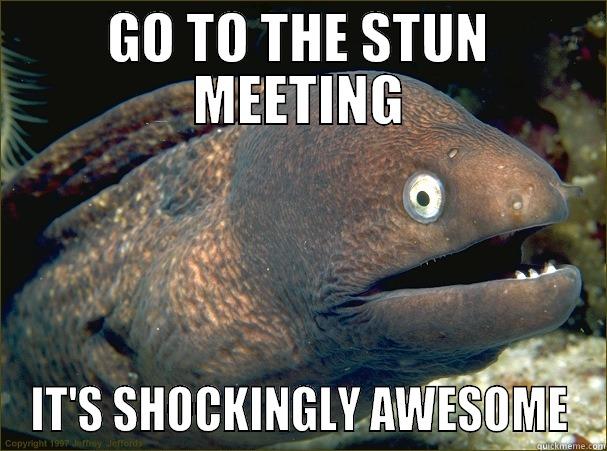 GO TO THE STUN MEETING IT'S SHOCKINGLY AWESOME Bad Joke Eel