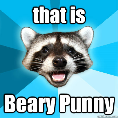 that is  Beary Punny  Lame Pun Coon