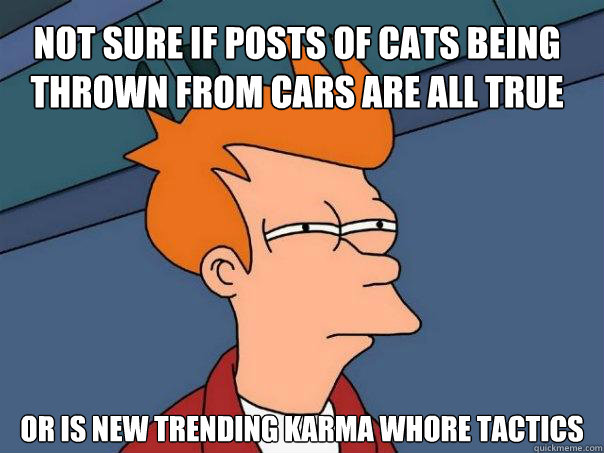 Not sure if posts of cats being thrown from cars are all true Or is new trending karma whore tactics - Not sure if posts of cats being thrown from cars are all true Or is new trending karma whore tactics  Futurama Fry