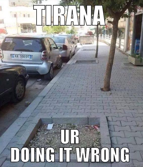 TIRANA UR DOING IT WRONG Misc