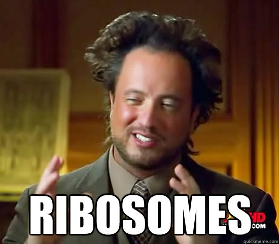  Ribosomes  Ancient Aliens