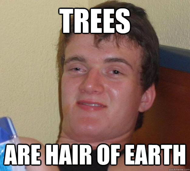 TREES ARE HAIR OF EARTH  10 Guy