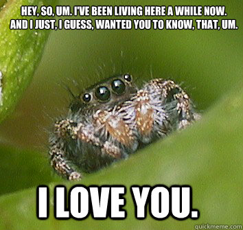 HEY, SO, UM. I'VE BEEN LIVING HERE A WHILE NOW.
AND I JUST, I GUESS, WANTED YOU TO KNOW, THAT, UM. I LOVE YOU.  Misunderstood Spider