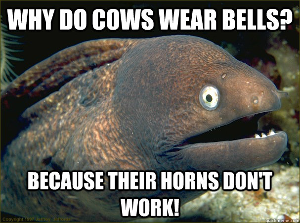 Why do cows wear bells? because their horns don't work! - Why do cows wear bells? because their horns don't work!  Bad Joke Eel