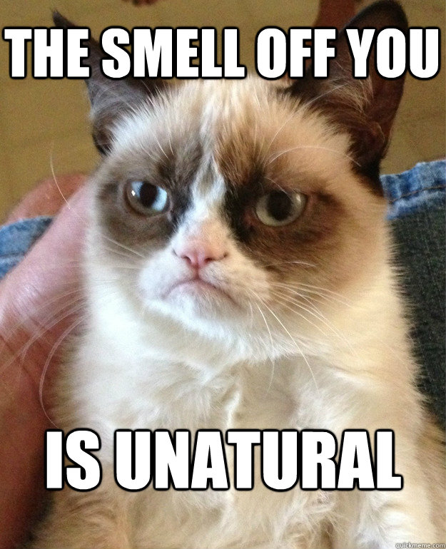 The smell off you  is unatural  Grumpy Cat