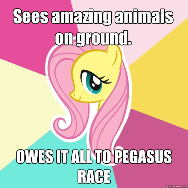 Sees amazing animals on ground. OWES IT ALL TO PEGASUS RACE  Fluttershy