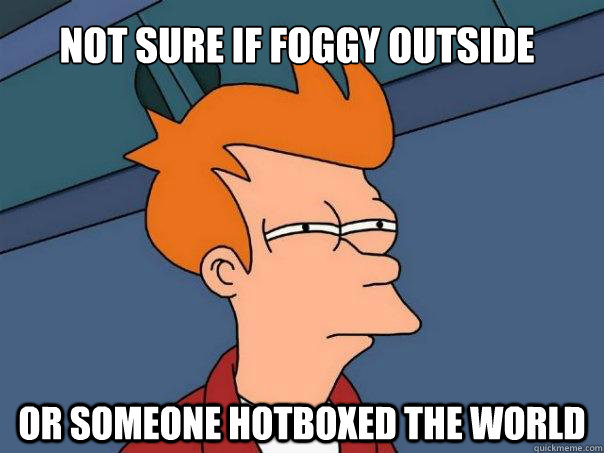 Not sure if Foggy outside Or someone hotboxed the world  Futurama Fry