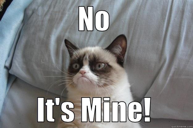 NO IT'S MINE! Grumpy Cat