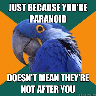 Just because you're paranoid doesn't mean they're not after you  Paranoid Parrot