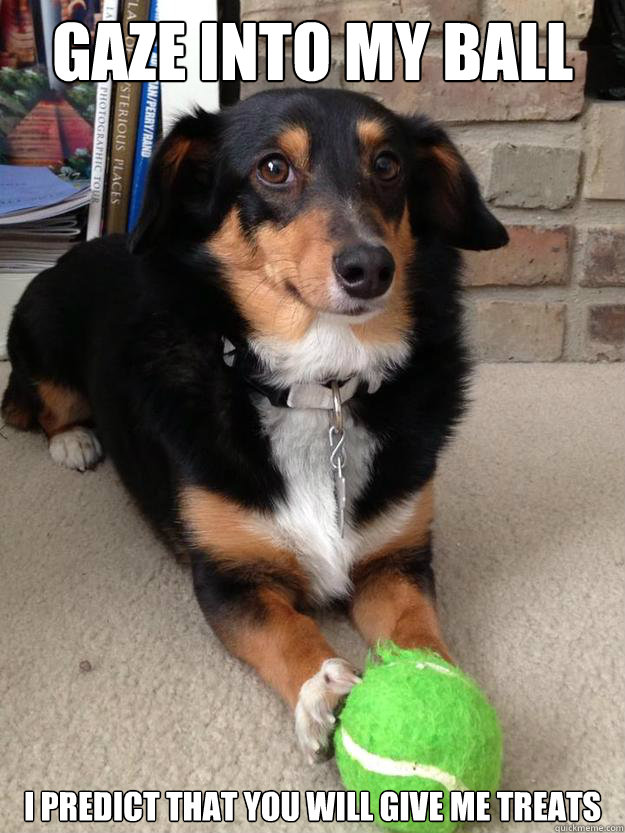 gaze into my ball I PREDICT THAT YOU WILL GIVE ME TREATS  