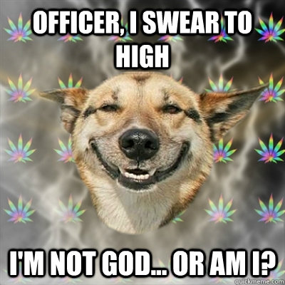 Officer, I swear to high i'm not god... or am i?  Stoner Dog