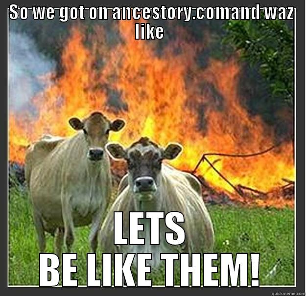 The chicago fire - SO WE GOT ON ANCESTORY.COMAND WAZ LIKE  LETS BE LIKE THEM! Evil cows