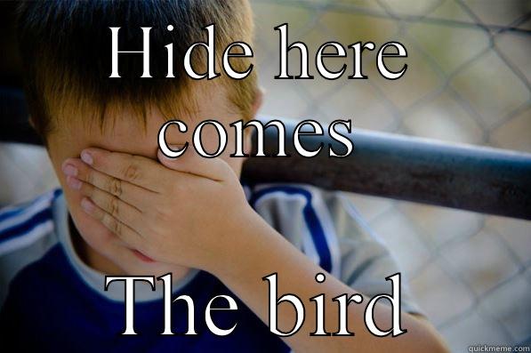 HIDE HERE COMES THE BIRD Confession kid