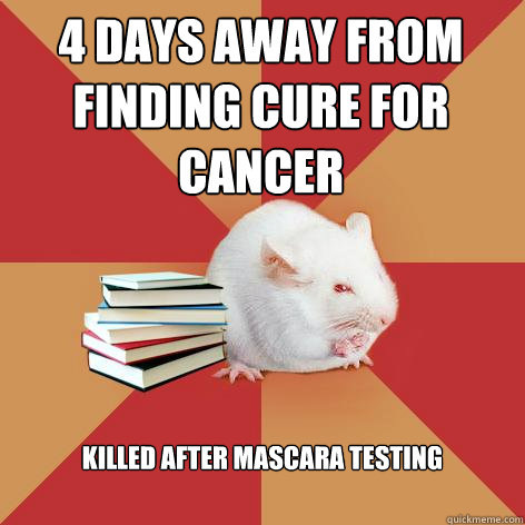 4 days away from finding cure for cancer killed after mascara testing - 4 days away from finding cure for cancer killed after mascara testing  Science Major Mouse