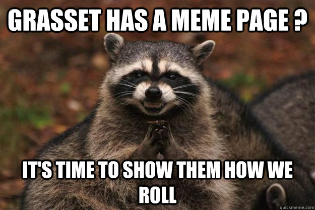 Grasset has a meme page ? it's time to show them how we roll - Grasset has a meme page ? it's time to show them how we roll  Evil Plotting Raccoon