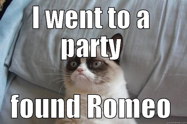 I WENT TO A PARTY FOUND ROMEO Grumpy Cat