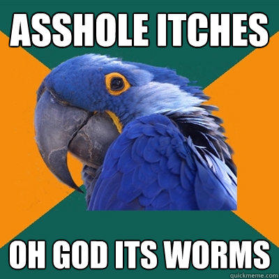 Asshole itches oh god its worms  Paranoid Parrot