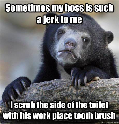 Sometimes my boss is such a jerk to me I scrub the side of the toilet with his work place tooth brush  - Sometimes my boss is such a jerk to me I scrub the side of the toilet with his work place tooth brush   Confession Bear