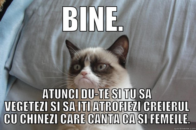 BINE.  ATUNCI DU-TE SI TU SA VEGETEZI SI SA ITI ATROFIEZI CREIERUL CU CHINEZI CARE CANTA CA SI FEMEILE. Grumpy Cat