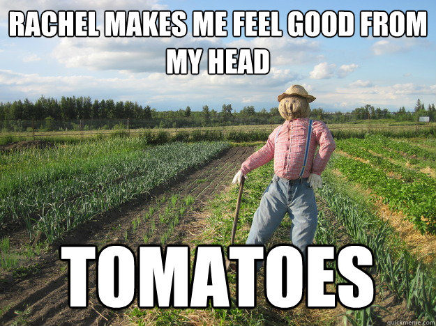 Rachel makes me feel good from my head tomatoes  Scarecrow