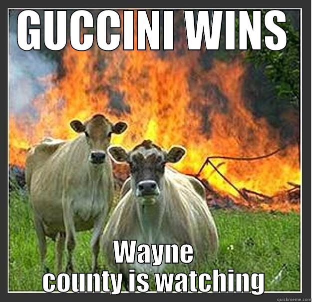 GUCCINI WINS WAYNE COUNTY IS WATCHING Evil cows