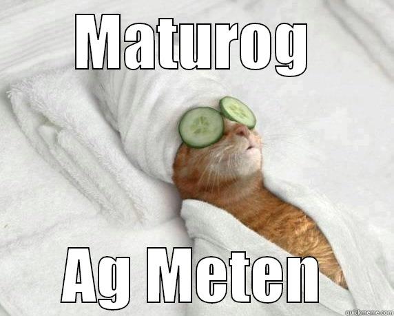 best cat for you - MATUROG AG METEN Misc