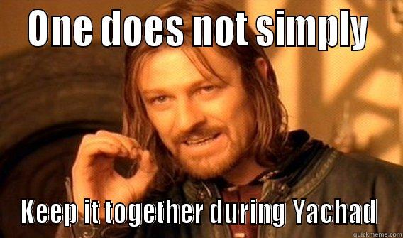 yachad na'amod -  ONE DOES NOT SIMPLY  KEEP IT TOGETHER DURING YACHAD One Does Not Simply