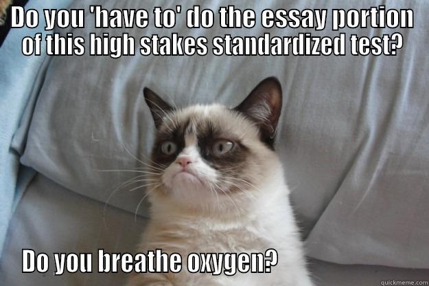 DO YOU 'HAVE TO' DO THE ESSAY PORTION OF THIS HIGH STAKES STANDARDIZED TEST? DO YOU BREATHE OXYGEN?                            Grumpy Cat