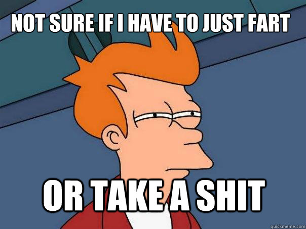 not sure if i have to just fart or take a shit - not sure if i have to just fart or take a shit  Futurama Fry