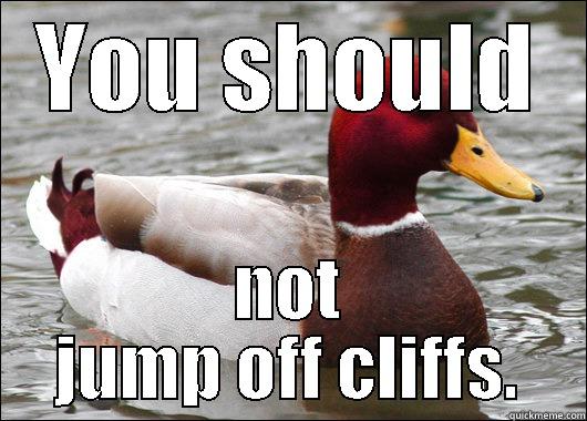 YOU SHOULD NOT JUMP OFF CLIFFS. Malicious Advice Mallard