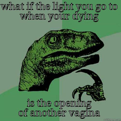 WHAT IF THE LIGHT YOU GO TO WHEN YOUR DYING IS THE OPENING OF ANOTHER VAGINA Philosoraptor