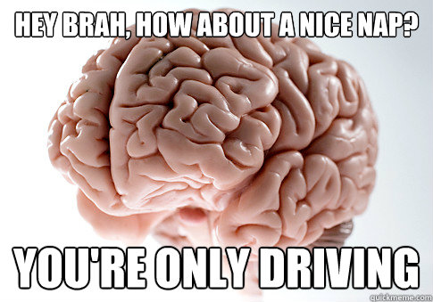 HEY BRAH, HOW ABOUT A NICE NAP? YOU'RE ONLY DRIVING   Scumbag Brain