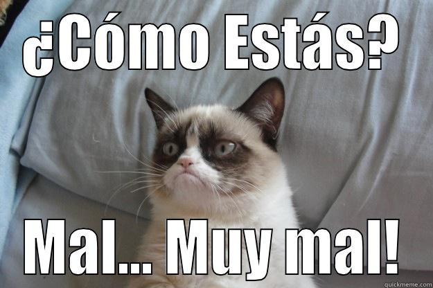 ¿CÓMO ESTÁS? MAL... MUY MAL! Grumpy Cat