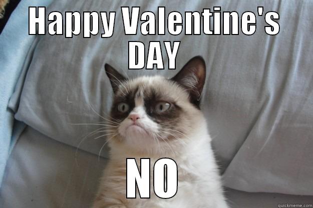 HAPPY VALENTINE'S DAY NO Grumpy Cat