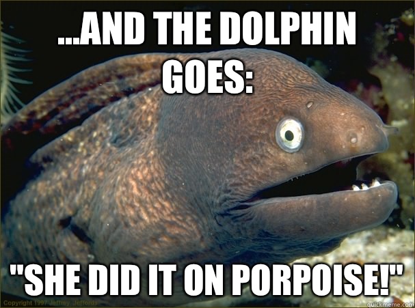 ...and the dolphin goes: 