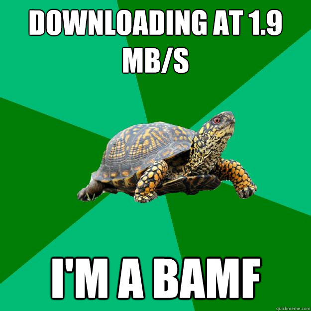 downloading at 1.9 mb/s I'm a bamf  Torrenting Turtle