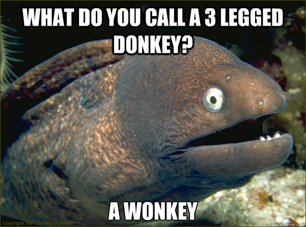 What do you call a 3 legged donkey? A Wonkey Caption 3 goes here Caption 4 goes here  Bad Joke Eel